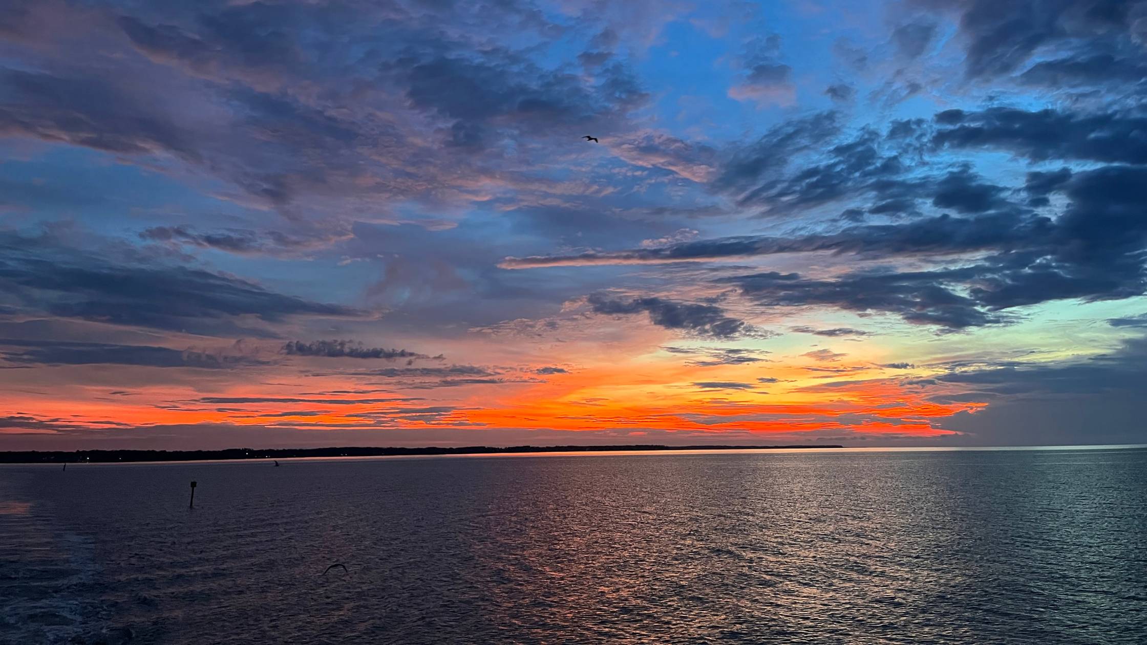 Sunset cruise